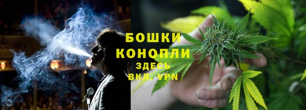 mdpv Каменка
