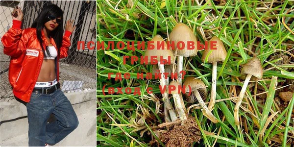 бутик Каменногорск
