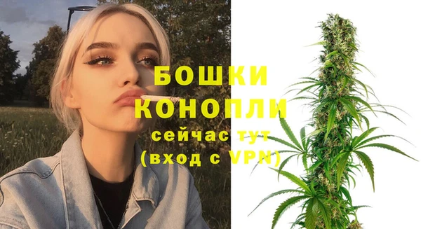 mdpv Каменка