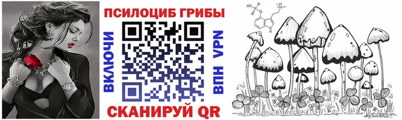 наркота  Юхнов  Галлюциногенные грибы GOLDEN TEACHER 